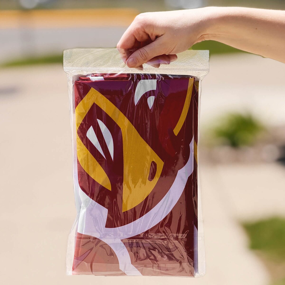Punching Cy Iowa State Deluxe Flag 3-foot x 5-foot